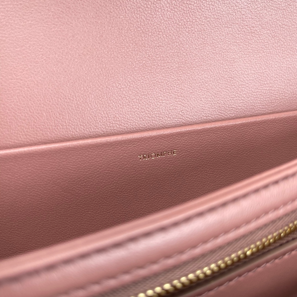 Celine Triomphe Bag 22 cm