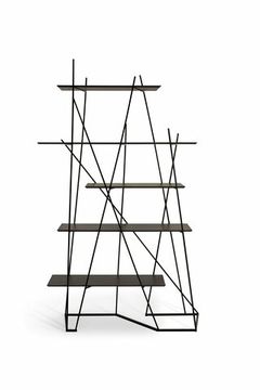 дизайнерский шкаф   WOODSTOCK  ( by Steel Art )