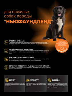 Корм сухой для пожилых собак породы Ньюфаундленд старше 5 лет, с индейкой, 12 кг, QUATTRO