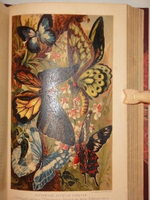 "Иллюстрированное издание " Жизнь животных " А.Э.Брэма в десяти томах". Альфред Эдмунд Брэм. 1896г.