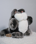 Кот Марсель (черно-шиншилловый) - уникальный окрас