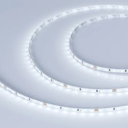 Светодиодная лента MICROLED-5000 24V Cool 8K 4mm (2216, 120 LED/m, LUX) (Arlight, 9.6 Вт/м, IP20) 024409