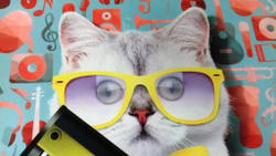 Микровелюр Xpoint (Икспоинт) 0030.02 Кошка с гитарой