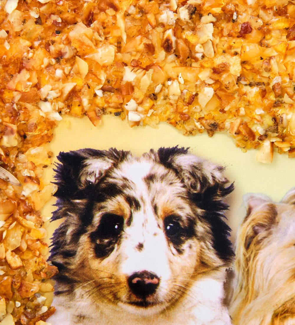 AMB-51/51 Картина «Дружная семейка кошек и собак» (с янтарной крошкой) дер.рамка 21х30