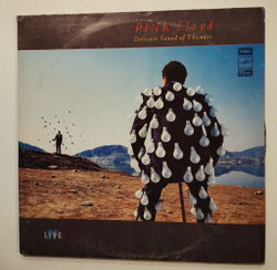Винтажная виниловая пластинка LP Pink Floyd Delicate Sound Of Thunder (СССР 1990)