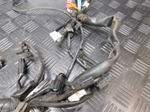 Коса электропроводки Honda Shadow VT400S NC46