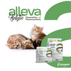 Корм Аллева Холистик Holistic Chicken & Duck + Aloe vera & Ginseng Kitten для котят, беременных и кормящих кошек с курицей и уткой, алое вера и женьшенем, 0,4 кг