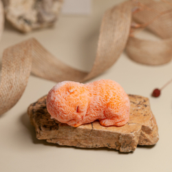 Котенок Пушок