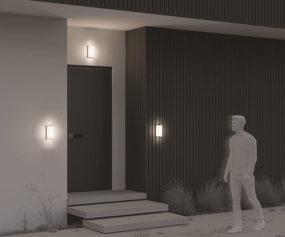 Уличный настенный светильник Outdoor O454WL-L10GF3K