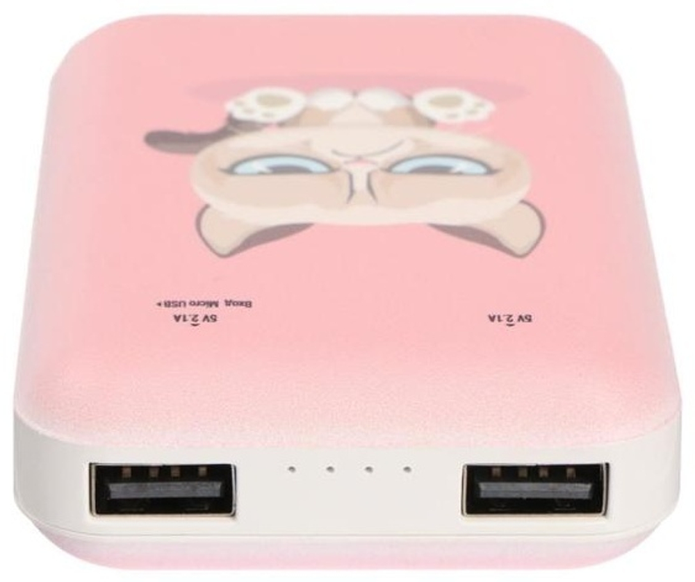 Внешний аккумулятор Ritmix RPB-10007 Grumpy Cat 10000 mAh