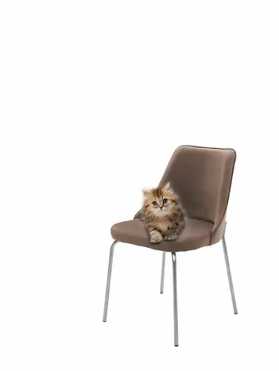 Стул "Флорес" 1 шт. Антивандальная ткань, Серебряные ножки