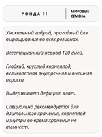 Семена свекла Ронда F1 для посадки, 1 гр. семян (Vita Green / Вита Грин)
