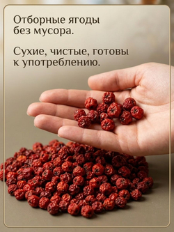 Красная рябина сушеная