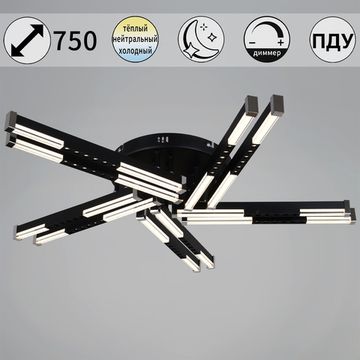 24090-0.3-10 BK светильник потолочный