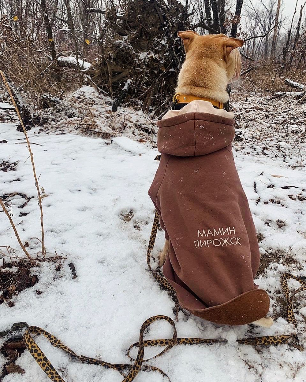 Поводок для собак из биотана 20 мм для собак средних и мелких пород леопард 20 мм, 7 м Yki too