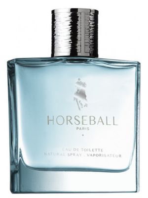 Horseball Blue Leather