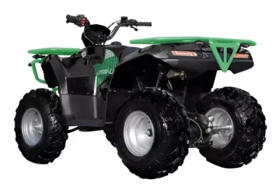 Квадроцикл взрослый Sharmax Luxe 250 (P)