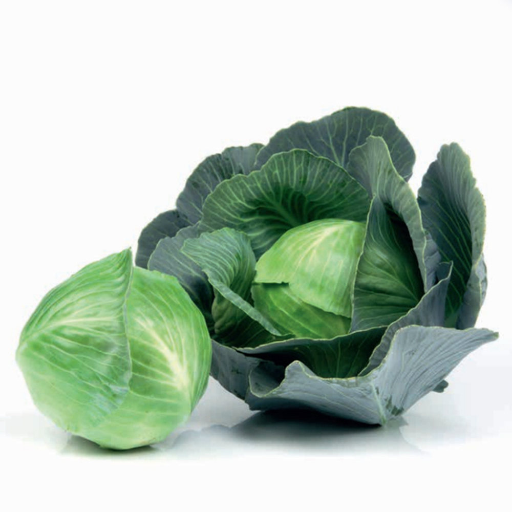 СВ 3404 ЖЛ F1 семена капусты белокочаной (Seminis / Семинис)