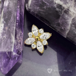 Bait Crystal PVD Yellow