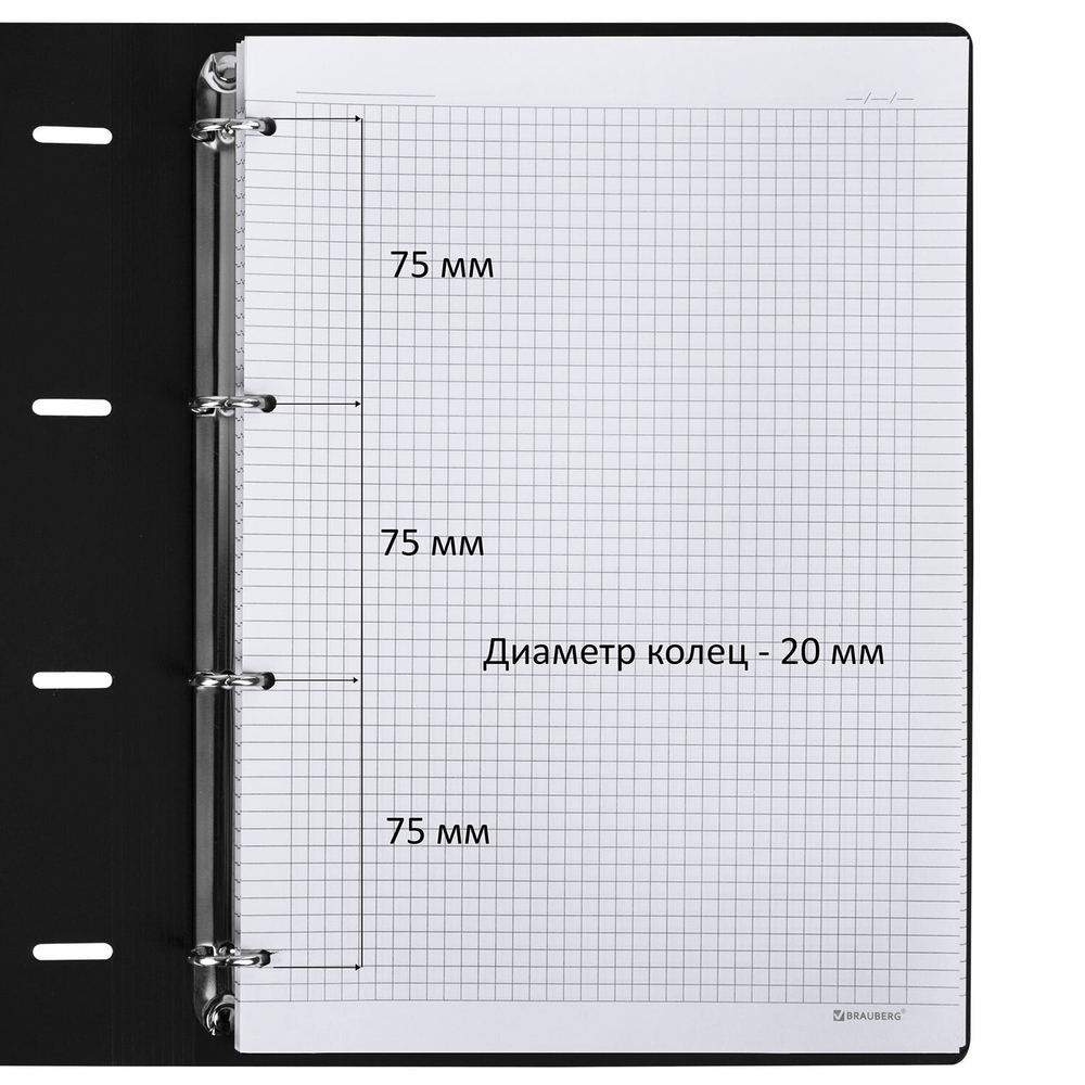 Тетрадь на кольцах БОЛЬШАЯ А4 (240х310 мм), 120 л., под кожу, BRAUBERG VISTA, "Пастельная", 404514