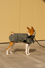 Дождевик "Пони-парасоли"