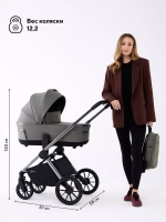 Коляска 2 в 1 Rant Falcon Therm