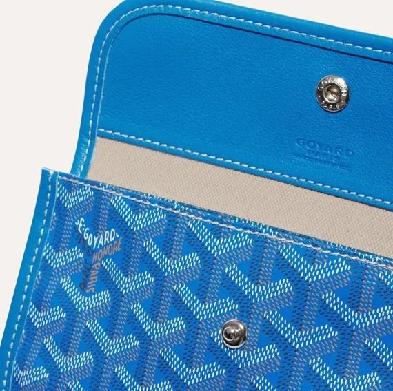 Сумка GOYARD Saint Louis