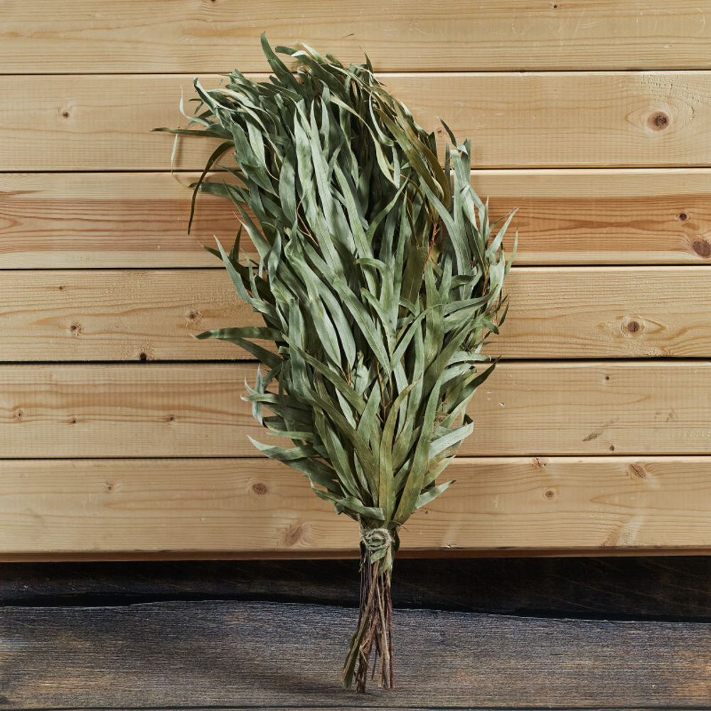 Веник эвкалиптовый_1.jpg