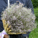 Букет сухоцветов - Нежное облачко 45х30 см