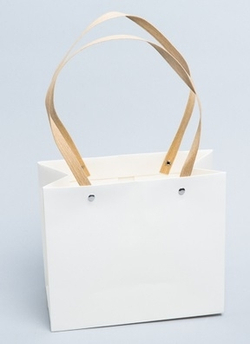 Пакет ПРЯМОУГОЛЬНЫЙ 22*18*10 с крафтовыми ручками