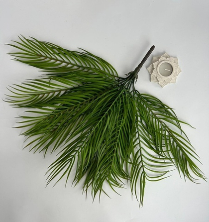 Пальма Робелини / Арт 6016