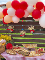 BBQ Party