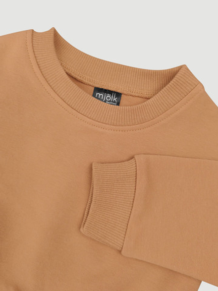 Комплект Mjölk Свитшот Camel/Легинсы Зебра розовая