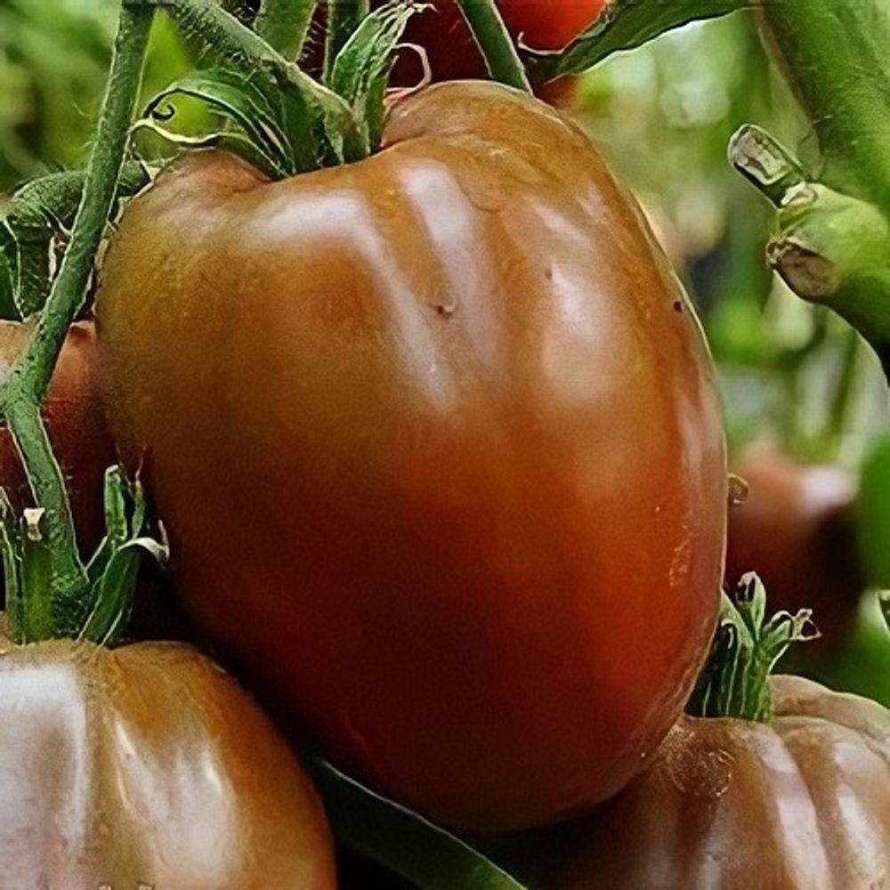 Черное сердце Америки