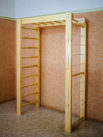 Спортивный пристенный комплекс "Памир" - Цветной