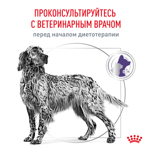 Корм для собак, Royal Canin Neutered Adult, для кастрированных/стерилизованных собак весом от 11 до 25 кг старше 12 мес.