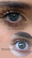 Сапфировые синие цветные линзы Marquise Hollywood dark blue / Цветные синие линзы для темных и светлых глаз / Срок ношения 12 мес