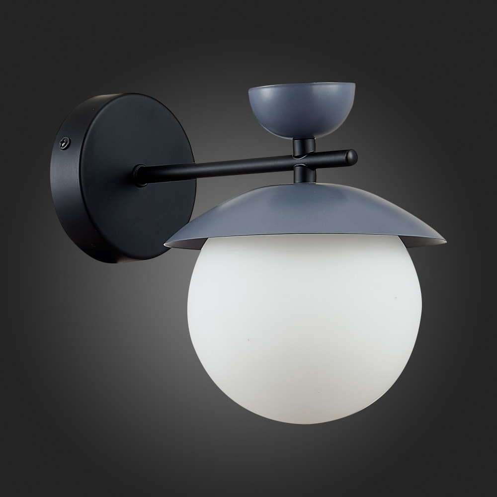 Светильник настенный Evoluce Genova SLE220201-01