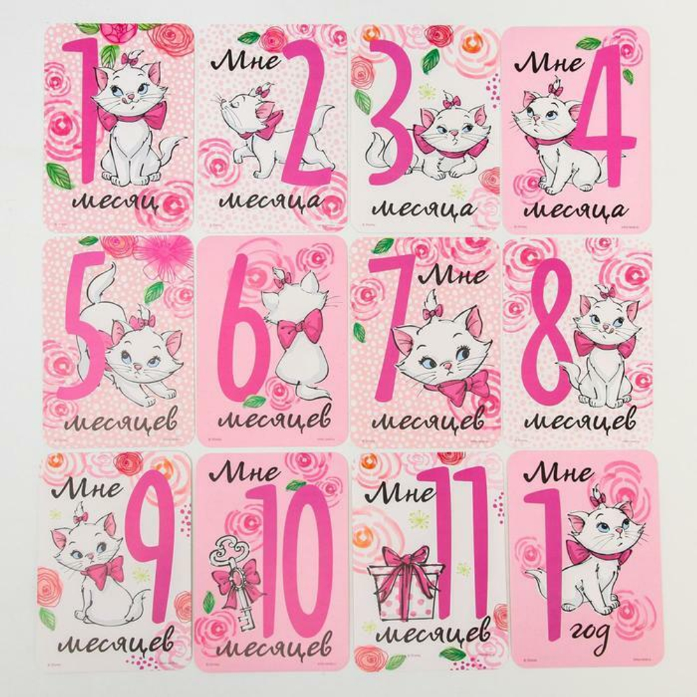 4779921 Набор карточек для фотосессий, Коты аристократы