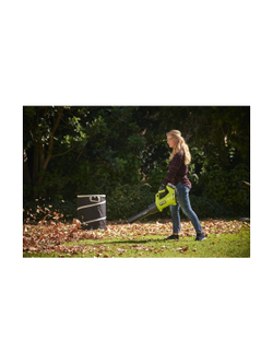 Мешок для травы RAC368 Ryobi 5132005954