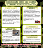 Стенд "Как вести себя во время террористического акта"