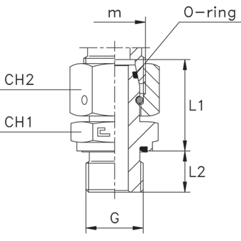 Штуцер FNE DS08 BSP 1/4