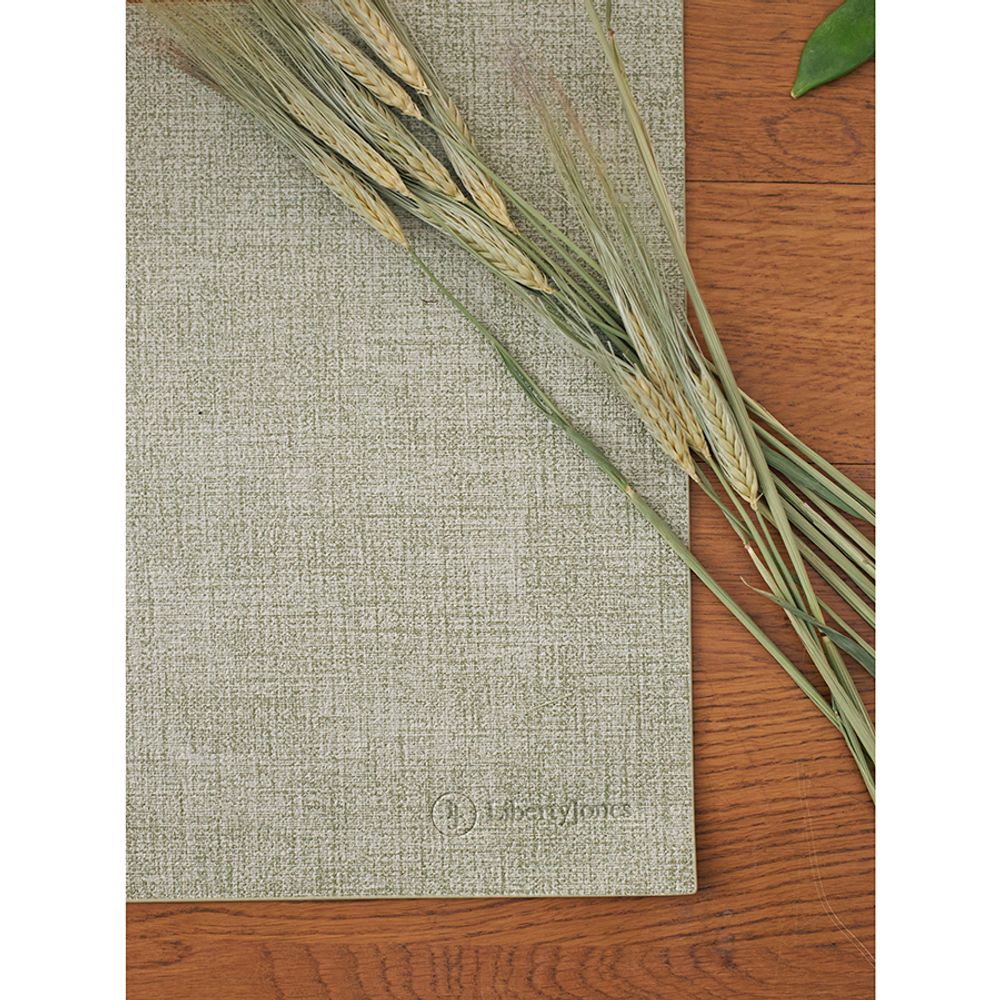 Набор из 4-х сервировочных салфеток Leanera, 30х45 см, мятные