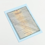 Свидетельство о рождении "Коллаж для мальчика"   4616071