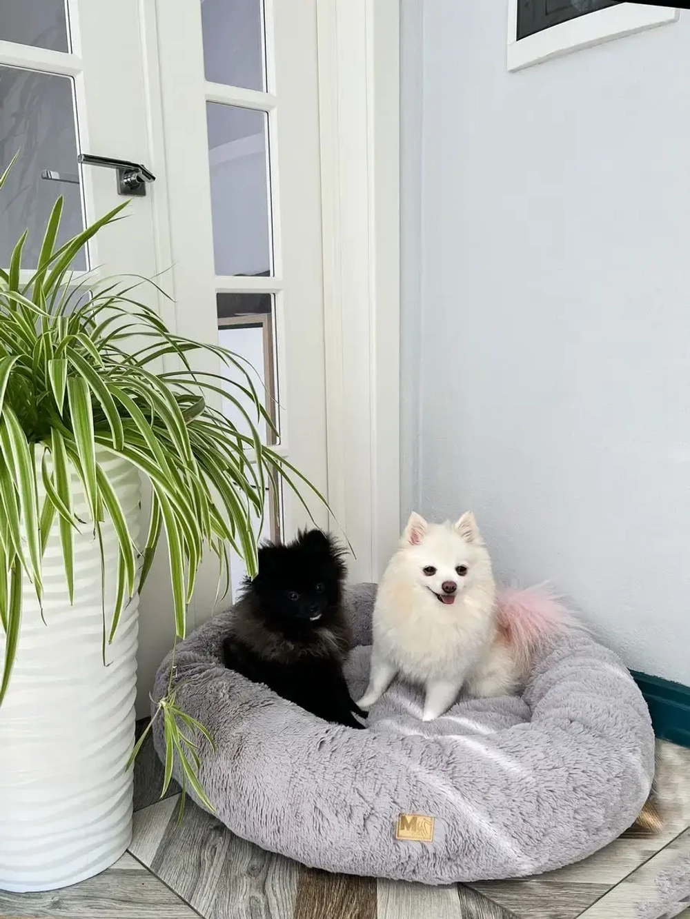 Лежанка для кошек лежак для собак домик