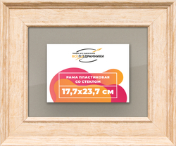 Рамка 17,7x23,7 для постера и фотографий