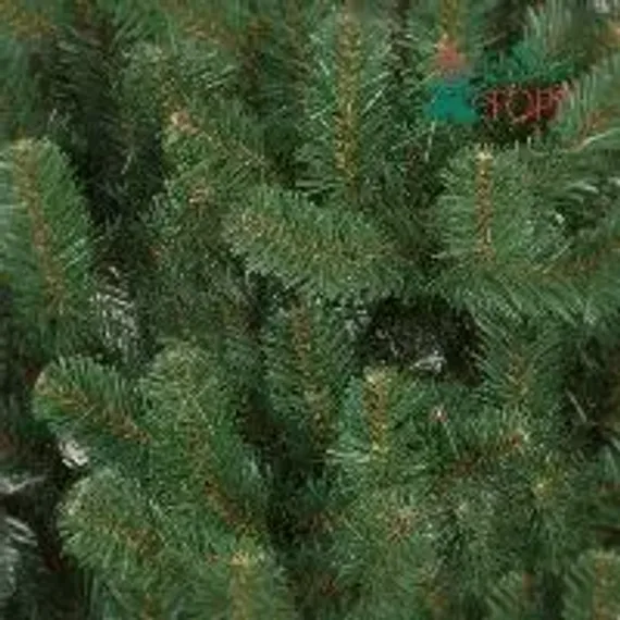 Искусственная сосна Афина PREMIUM 6 м., ствольная, уличная, ПВХ, ЕлкиТорг (59600)