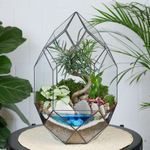 Готовый флорариум бонсай Подокарпус Цефей с озером