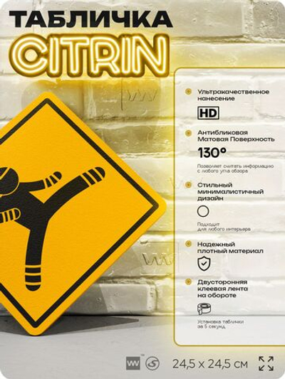 Табличка "Каратист" шуточная прикольная табличка на дверь и стену, для офиса и дома, декоративный знак, 24,5х24,5 см, пластиковая, Айдентика Технолоджи