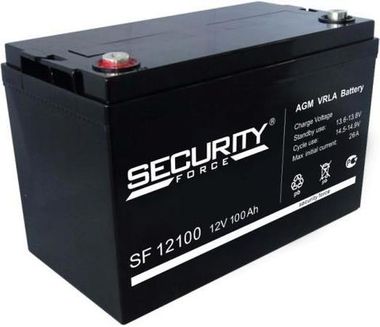 Аккумуляторы Security Force SF 12100 - фото 1